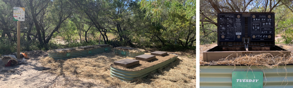 Garden with four raised corrugated metal beds covered in straw, a compost bin labeled “TUESDAY,” and surrounding trees and shrubs.